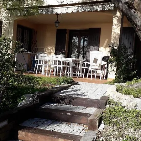 Bellevue ניס