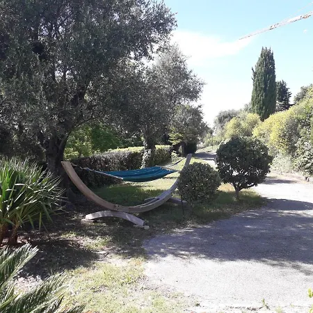 Bellevue * ניס